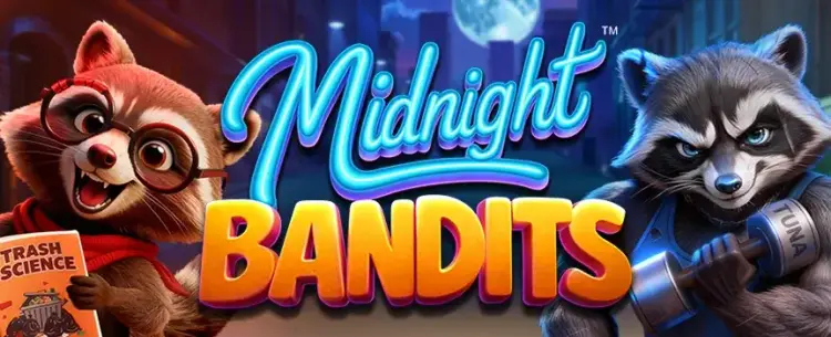Midnight Bandit