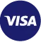 VISA Logo